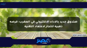 صندوق جديد بالأداء الإلكتروني في المغرب: فرصة ذهبية للتجار لاعتماد التقنية